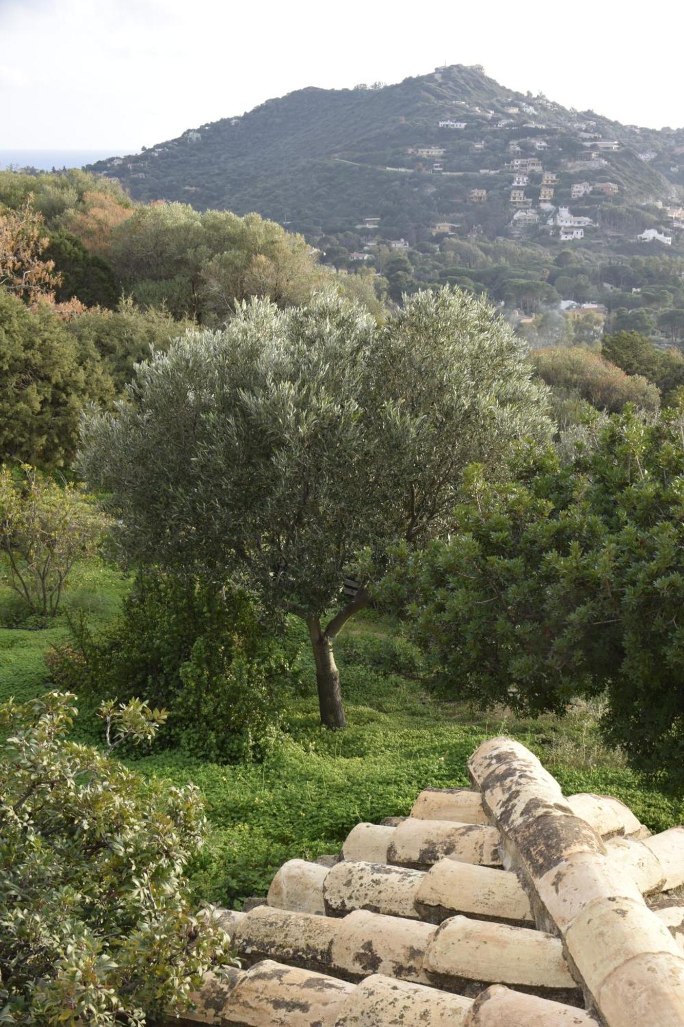 Holiday Home Riccio Di Mare Sardinia Marongiu エクステリア 写真